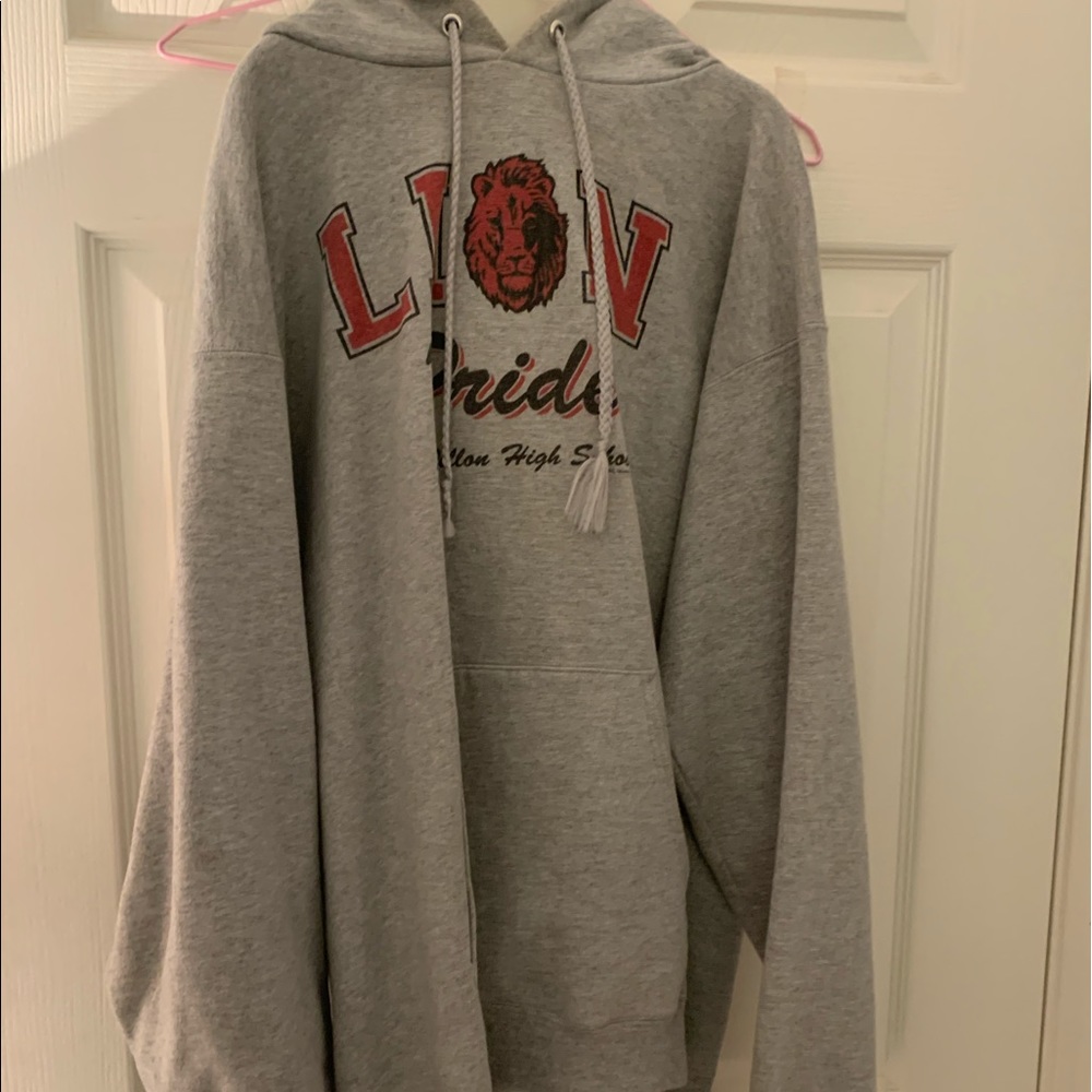 lion pride hoodie